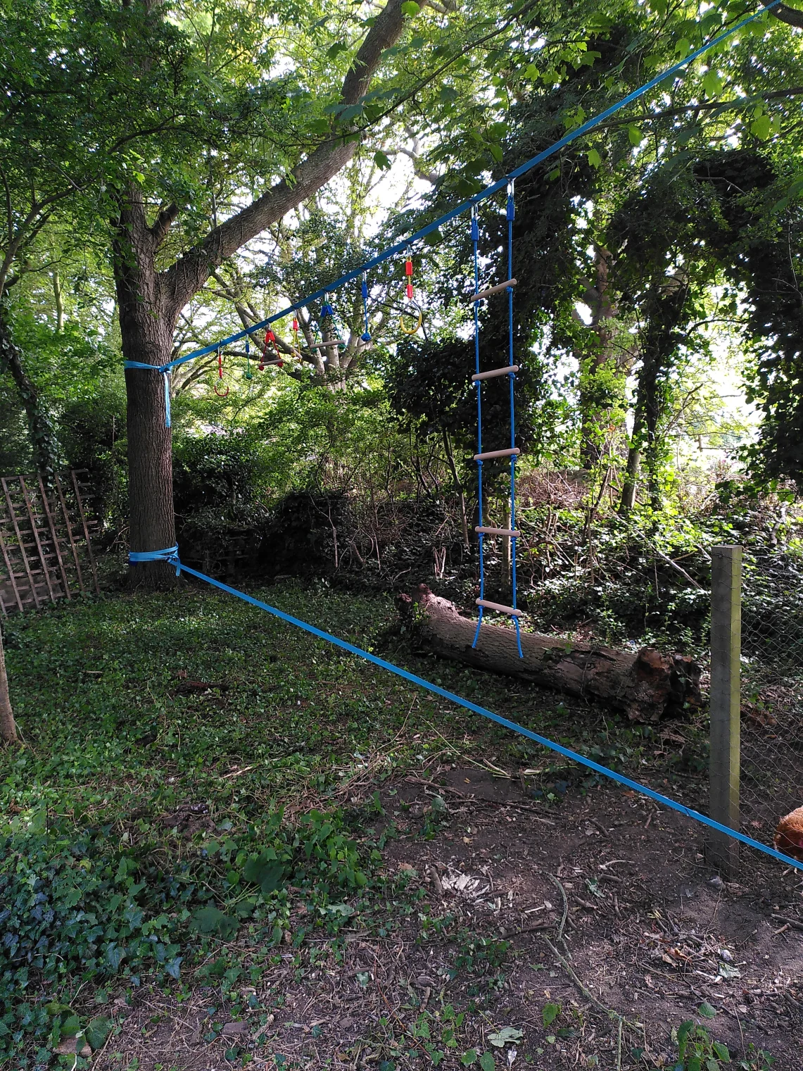 Two slack lines between two trees with various addons to hang onto